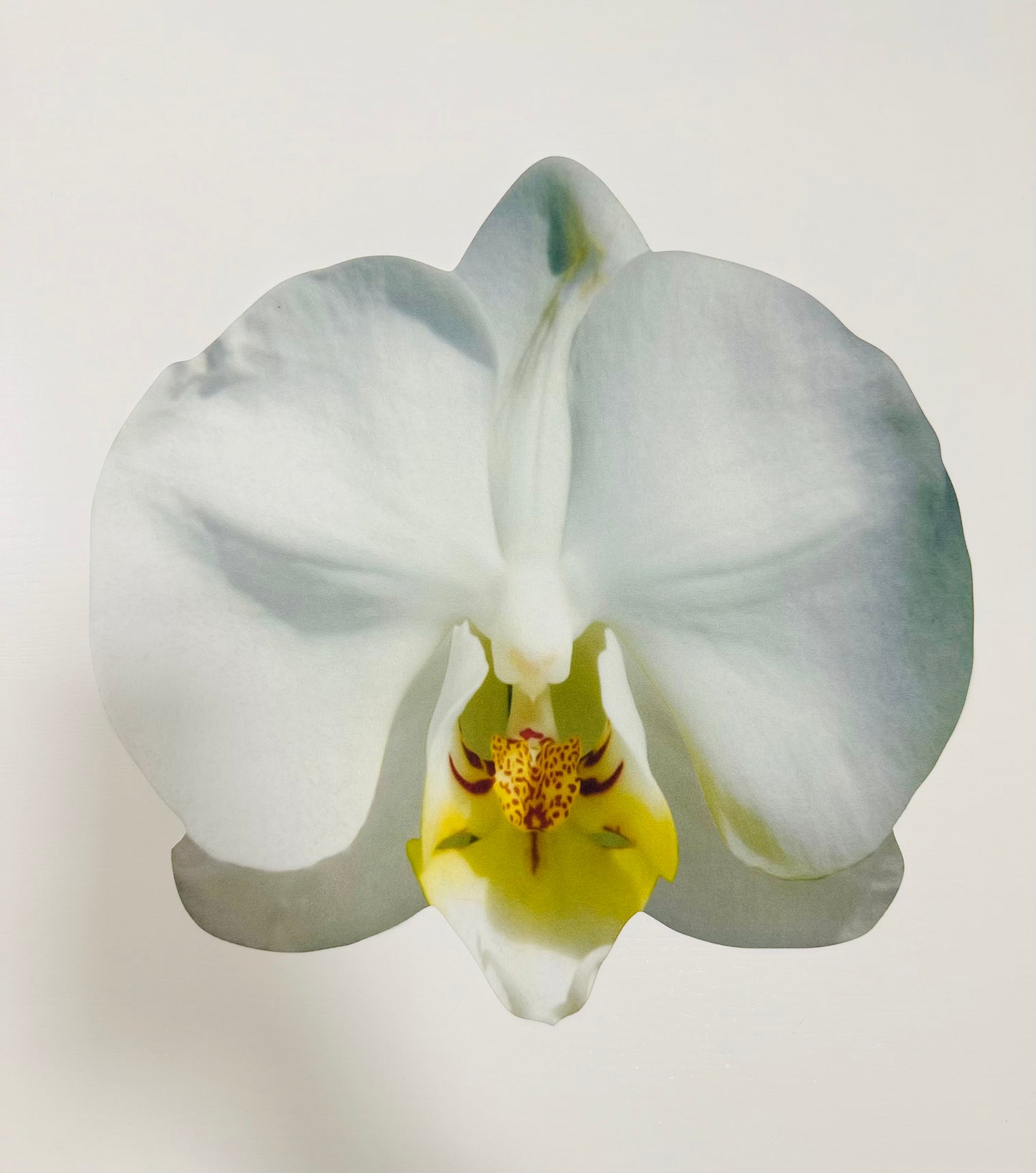 Individuais de Mesa - 3D FLORAL