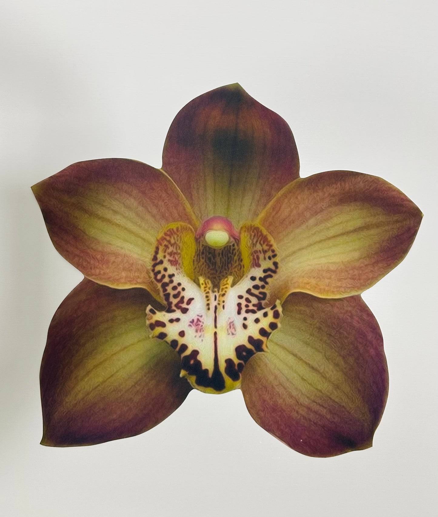 Individuais de Mesa - 3D FLORAL